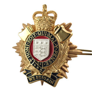 Professional to make Military badges & Army Insignia & Police pin badges